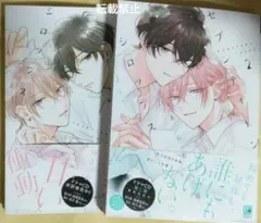 新書館 セブンティーンシロップス　1巻　2巻