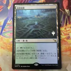 MTG 迷路庭園 日本語版