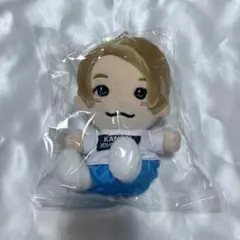 Aぇgroup! 正門良規 ちびぬい