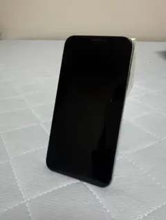 Apple iPhone X シルバー 本体