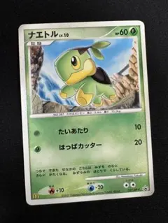 2026年最新】ナエトル プロモの人気アイテム - メルカリ