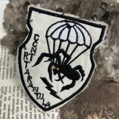 ヴィンテージ ワッペン スパイダー 蜘蛛 アメカジ古着 カスタム パッチ60s～