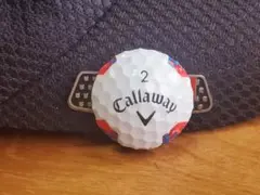 Item thumbnail for item 85df3924-347e-4063-ace7-4e80d4ce5141