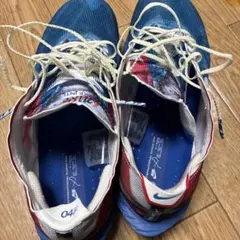 NIKEアルファフライ3とヴェイパーフライ4