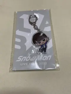 Snow Man アクリルキーホルダー すのチル 渡辺翔太