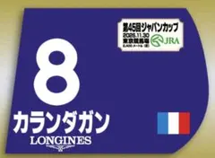 2025年最新】ジャパンカップ ゼッケンの人気アイテム - メルカリ