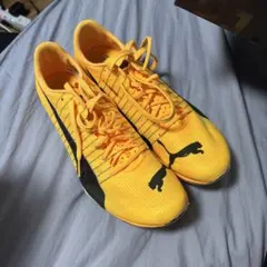 PUMA エヴォスピード400ニトロ2 25.5