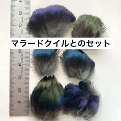 Item thumbnail for item 26db3bb6-5e99-4d98-a21d-3125cde53ca5