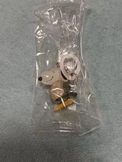 PEANUTS めじるしアクセサリー FUNNY ver. スヌーピーD