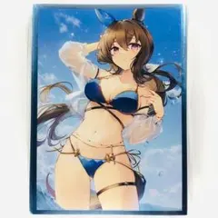 2026年最新】アドマイヤベガ スリーブの人気アイテム - メルカリ
