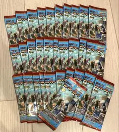 【新品未開封】サカモトデイズ コレクターズカード 31個セット