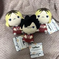 ハイキュー もちぴこ ぬいぐるみ 孤爪研磨 黒尾鉄朗 2種セット