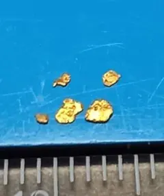 国産砂金 中粒小粒 自然金 天然金 GOLD M25 - メルカリ
