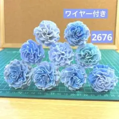 ソラフラワー　2676