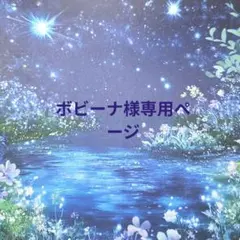 ボビーナ様 リクエスト 2点 まとめ商品