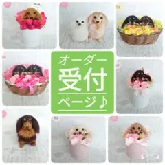 ♥️羊毛フェルト♥️オーダー受け付けページ♪ダックス&猫ちゃん♪　ねこのうらがわ