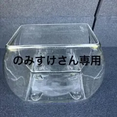 2026年最新】レトロ 水槽の人気アイテム - メルカリ