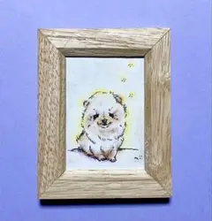 原画　色鉛筆画　ポメラニアン　額入り
