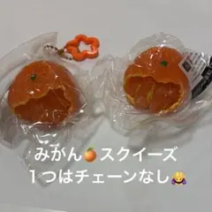 みかん スクイーズ 2個セット