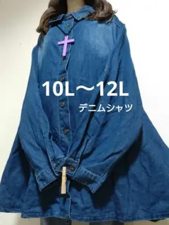 10l 大きいサイズ