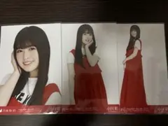 ひめたんの隠しミートボール様 リクエスト 2点 まとめ商品