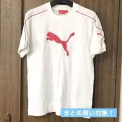 【新品】大幅値下げ！PUMA デザインTシャツ　キッズ、子供