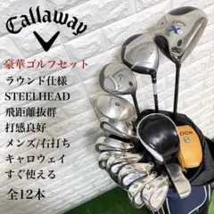 ゴルフセット　豪華　キャロウェイ　メンズ　ラウンド仕様　STEELHEAD 良好