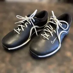 Item thumbnail for item 8bada57f-fe70-4755-8eb7-a134105efa09