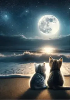 マサ・S様 リクエスト 9点 まとめ商品