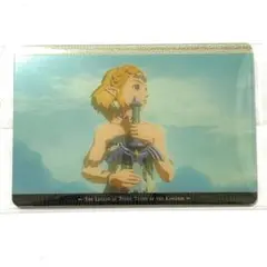 ゼルダの伝説 ティアーズ オブ ザ キングダム ウエハース ビジュアル ゼルダ