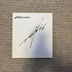 小菅直人　実使用　直筆　サイン　シューティングシャツ 琉球キングス　岸本隆一 小菅直人 実使用 直筆 サイン シューティングシャツ 琉球キングス 岸本