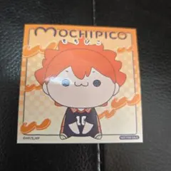 【ハイキュー】日向翔陽 ジャンフェス ジャンプフェスタ もちぴこ