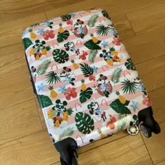 アウラニ限定　ディズニー　オルメル　キャリーケース　新品タグ付き　ハワイ 313-0078-1.jpg