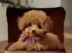 Item thumbnail for item ef7da318-1263-4707-bc7a-1799a8604e00