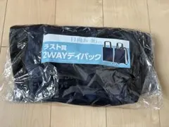 日向坂46くじ ラスト賞 2WAYデイパック 折りたたみ傘賞セット - メルカリ