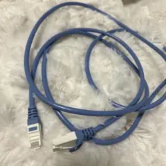 LANケーブル（2m)