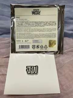 セブチ HOLLYDAY ピンズ JUN おまけ付き