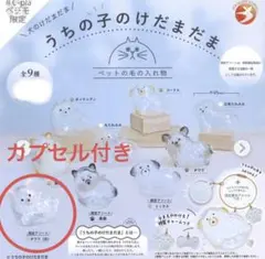 うちの子のけだまだま　犬　ガチャ　チワワ(白) 限定アソート