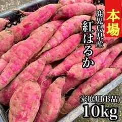 規格外】紅はるか 訳あり 10kg さつまいも 訳あり さつま芋 287 - メルカリ