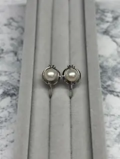 アコヤ真珠 本真珠 パール イヤリング 5.3mm SILVER アクセサリー