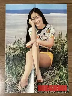 2025年最新】麻丘めぐみ切り抜きの人気アイテム - メルカリ