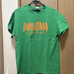 WANIMA Tシャツ 緑色 ONE CHANCE