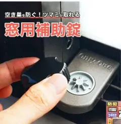 Item thumbnail for item c3370f3b-9882-47b3-9359-4735b1291bf3