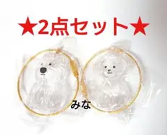 わんこのタイムカプセル むぎ モコ ③