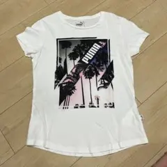 プーマ　白　Tシャツ
