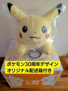 【丁寧梱包/即日発送】おかえり！ピカチュウ1/1　30周年ぬいぐるみ