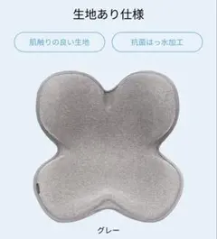 【新品】姿勢ケアシート Style Standard 【正規品】のサムネイル