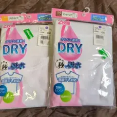 Item thumbnail for item fe280c77-f872-4035-a2e7-add5b39ada8c