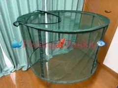 Item thumbnail for item 6779c629-9c38-4de6-9f42-4aa9ae0e770f