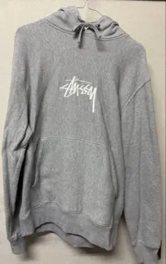 【国内正規品】ステューシー 刺繍センターロゴ パーカー ビッグロゴ 立体刺繍